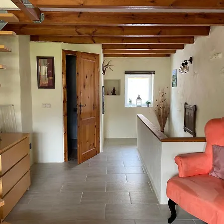 Vue Sur Le Potager Appartement Scheidgen