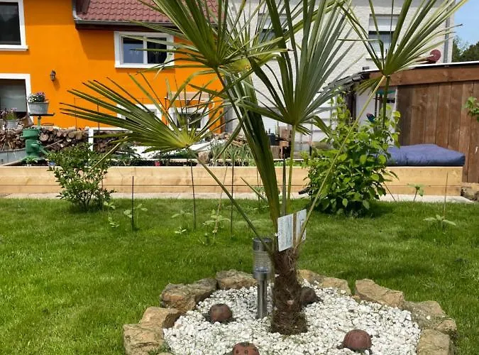 Vue Sur Le Potager Appartement *