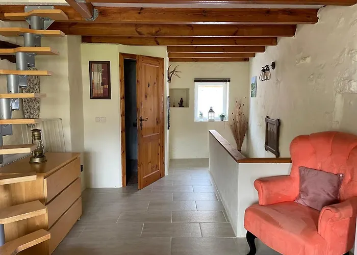 Vue Sur Le Potager Appartement Scheidgen